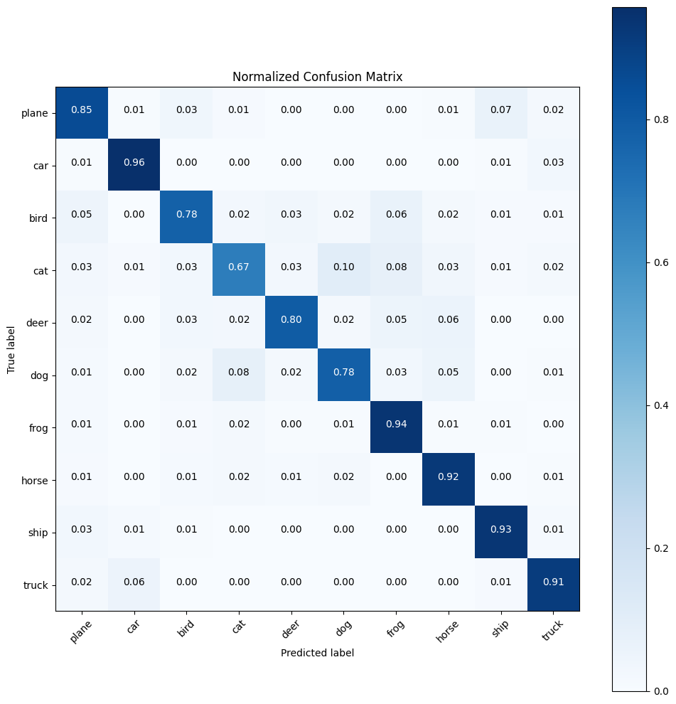Local Sports Team Wins Championship